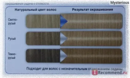 Фарба для волосся schwarzkopf color mask - «стійка фарба для волосся schwarzkopf color mask в