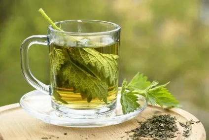 Кропива для волосся 7 рецептів відварів для ополіскування - про молодість (відварів) Кропива для волосся 7 рецептів відварів для ополіскування - про молодість
