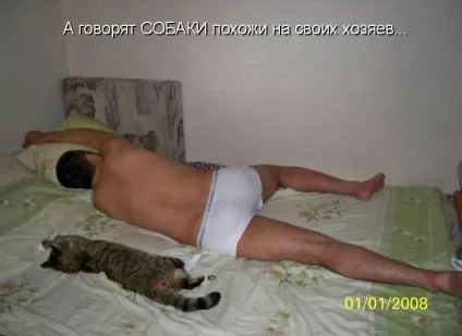 Кішки схожі на своїх господарів (господарів) Кішки схожі на своїх господарів