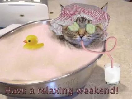 Коти люблять огірки