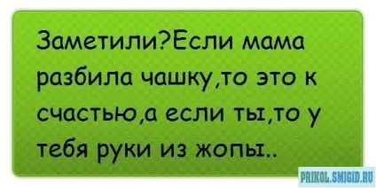 Гуртки розбиваються постійно, купувати інші або справа в чомусь іншому (розбиваються) Гуртки розбиваються постійно, купувати інші або справа в чомусь іншому
