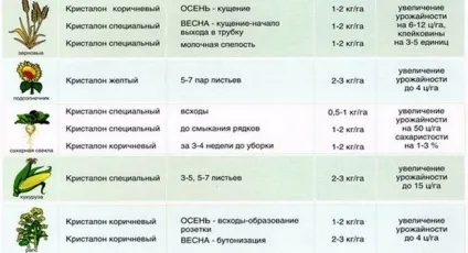 Кристалоном »опис добрива і спосіб застосування комплексного складу