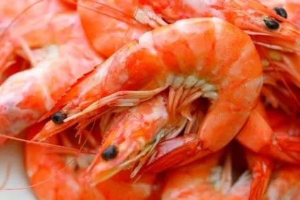 Креветки при грудному вигодовуванні можна мамі пробувати морепродукти (креветки) Креветки при грудному вигодовуванні можна мамі пробувати морепродукти