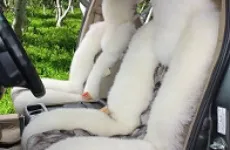 Куди і як можна здати (куди можна здати) Куди і як можна здати