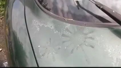 Як швидко і правильно перевірити лак на згортання (згортання) Як швидко і правильно перевірити лак на згортання