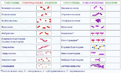 Кафедра мікробіології, вірусології та імунології УМКД, стоматологія (кафедра) Кафедра мікробіології, вірусології та імунології УМКД, стоматологія