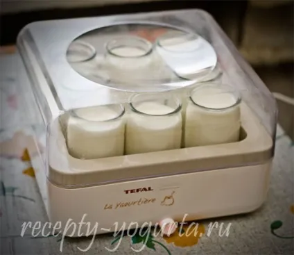 Йогуртниця tefal (тефаль) опис, відгуки, переваги і недоліки, домашній йогурт