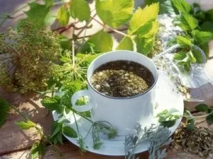 Лікування аденоми простати травами рецепти настоянок та відварів