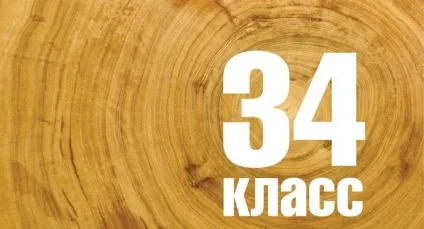 Ламінат для будинку - як самостійно вибрати і розібратися в класах (будинку) Ламінат для будинку - як самостійно вибрати і розібратися в класах