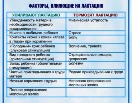 Лактація і стрес як відновити і повернути грудне вигодовування після стресу (лактація) Лактація і стрес як відновити і повернути грудне вигодовування після стресу
