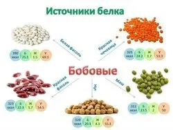 Кращі білкові продукти в дієті бодібілдера (продукти) Кращі білкові продукти в дієті бодібілдера