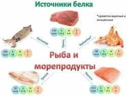 Кращі білкові продукти в дієті бодібілдера (бодібілдера) Кращі білкові продукти в дієті бодібілдера