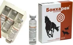 Локсіком для собак - інструкція із застосування, відгуки і ціна, «дай лапу» (локсіком) Локсіком для собак - інструкція із застосування, відгуки і ціна, «дай лапу»