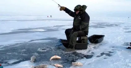 Ловля судака на тюльку взимку застосовуються снасті і оснащення (взимку) Ловля судака на тюльку взимку застосовуються снасті і оснащення