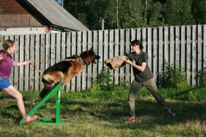 Літній табір - федерація військового собаківництва (річний) Літній табір - федерація військового собаківництва