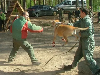 Літній табір - федерація військового собаківництва (табір) Літній табір - федерація військового собаківництва