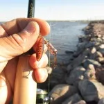 Кращі вертушки для лову окуня влітку