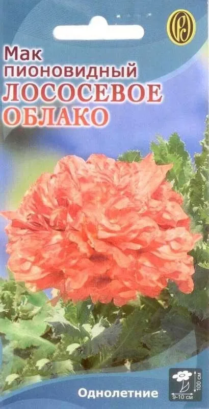 Маки - посадка, вирощування, догляд, розмноження, збір насіння, види і сорти