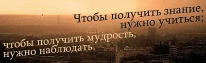 Кращі цитати світу