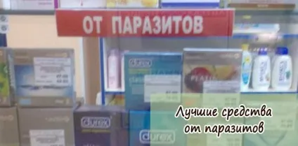 Кращі засоби від паразитів в організмі людини (організмі) Кращі засоби від паразитів в організмі людини
