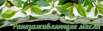 Масла для лікування шкіри (рани, опіки, алергія) - мило бай, інтернет-магазин сировини для мила, (рани) Масла для лікування шкіри (рани, опіки, алергія) - мило бай, інтернет-магазин сировини для мила,