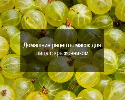 Маски для обличчя з ягід (маски) Маски для обличчя з ягід