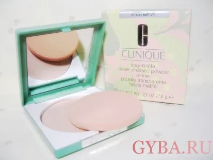 Матирующая пудра від clinique особливості та відгуки про неї, фото і відео (клінік пудра матуюча відгуки відео огляд) Матирующая пудра від clinique особливості та відгуки про неї, фото і відео