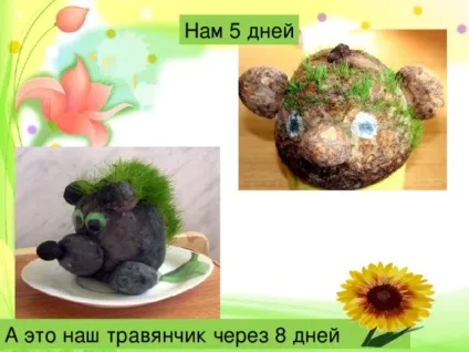 Майстер-клас по технології - виготовлення Трав'янчик - технологія (дівчинки), презентації (технології) Майстер-клас по технології - виготовлення Трав'янчик - технологія (дівчинки), презентації