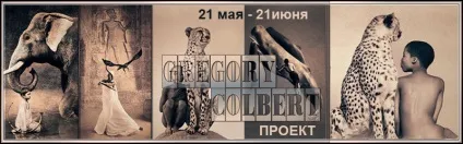 Захід попіл і сніг, спільнота «energyя»