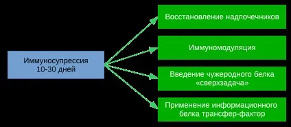 Методика доктора Капустіна