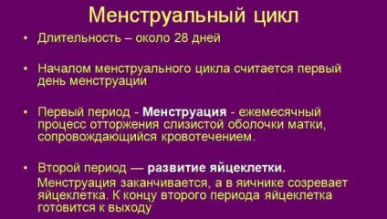 Місячні (менструальний цикл) - що це таке, скільки тривають, норма у дівчат і жінок