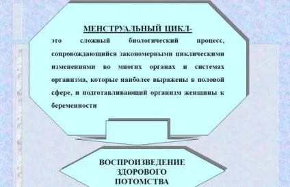 Місячні (менструальний цикл) - що це таке, скільки тривають, норма у дівчат і жінок
