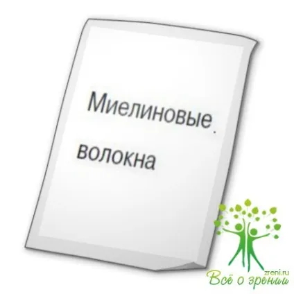 мієлінові волокна