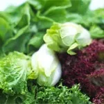 Молібден в організмі роль, нестача і надлишок, молібден в продуктах (молібден в організмі роль недолік дефіцит надлишок молібден в продуктах продукти містять молібден добова потреба) Молібден в організмі роль, нестача і надлишок, молібден в продуктах
