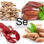 Молібден в продуктах харчування роль молібдену в організмі, food and health (молібден) Молібден в продуктах харчування роль молібдену в організмі, food and health