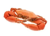 Морепродукти їх користь