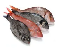 Морепродукти їх користь