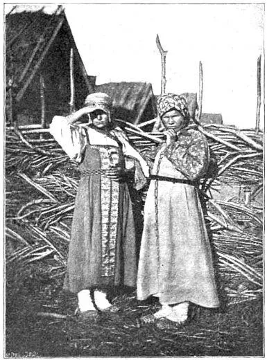 Мордовська казка - як я ходив богатирів шукати (ходив) Мордовська казка - як я ходив богатирів шукати