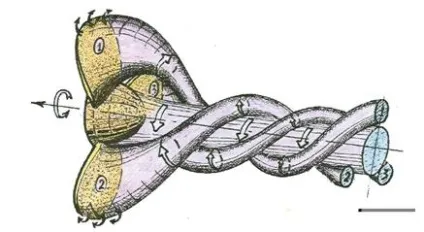 Модель літаючої тарілки (продовження) - око планети інформаційно-аналітичний портал (котушки) Модель літаючої тарілки (продовження) - око планети інформаційно-аналітичний портал