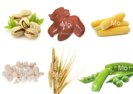 Молібден (mo, molybdenum) в яких продуктах міститься (molybdenum) Молібден (mo, molybdenum) в яких продуктах міститься