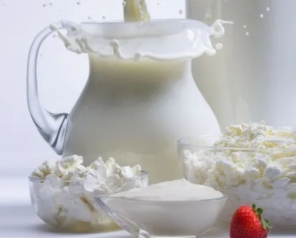 Молоко і молочні продукти