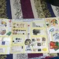 Мій лепбук по екології «чиста земля» (екології) Мій лепбук по екології «чиста земля»