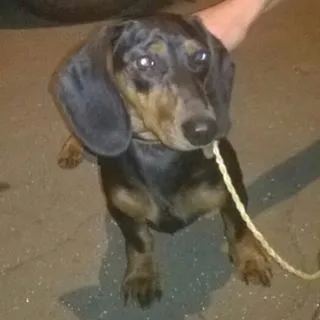 Московська такскоманда (@helptaksa) - instaliga кращий сервіс для перегляду instagram (московська такскоманда) Московська такскоманда (@helptaksa) - instaliga кращий сервіс для перегляду instagram