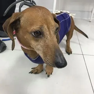 Московська такскоманда (@helptaksa) - instaliga кращий сервіс для перегляду instagram (московська) Московська такскоманда (@helptaksa) - instaliga кращий сервіс для перегляду instagram