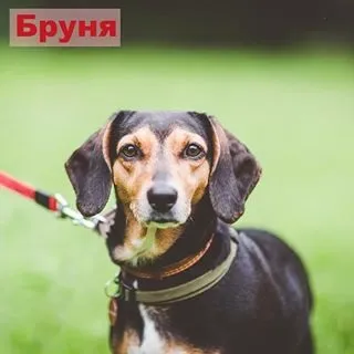 Московська такскоманда (@helptaksa) - instaliga кращий сервіс для перегляду instagram (instaliga) Московська такскоманда (@helptaksa) - instaliga кращий сервіс для перегляду instagram