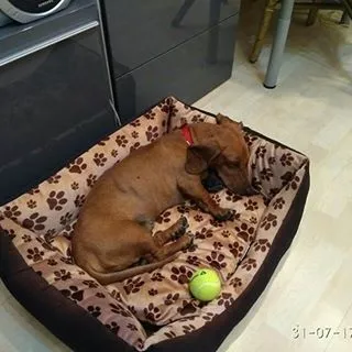 Московська такскоманда (@helptaksa) - instaliga кращий сервіс для перегляду instagram (helptaksa) Московська такскоманда (@helptaksa) - instaliga кращий сервіс для перегляду instagram