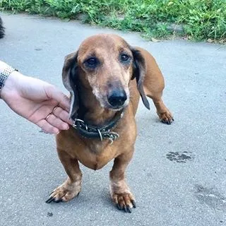 Московська такскоманда (@helptaksa) - instaliga кращий сервіс для перегляду instagram (helptaksa) Московська такскоманда (@helptaksa) - instaliga кращий сервіс для перегляду instagram