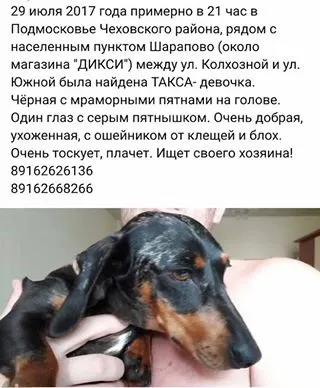 Московська такскоманда (@helptaksa) - instaliga кращий сервіс для перегляду instagram (московська) Московська такскоманда (@helptaksa) - instaliga кращий сервіс для перегляду instagram
