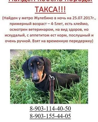 Московська такскоманда (@helptaksa) - instaliga кращий сервіс для перегляду instagram (instagram) Московська такскоманда (@helptaksa) - instaliga кращий сервіс для перегляду instagram