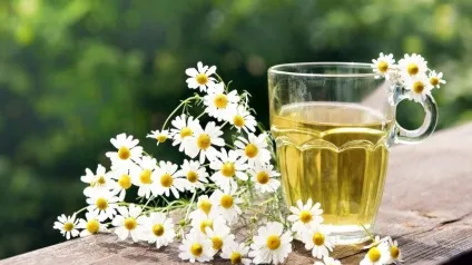 Чи можна лікувати і видаляти зуби при застуді і ГРВІ (можна) Чи можна лікувати і видаляти зуби при застуді і ГРВІ